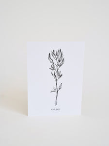 Herbal illustrated cards